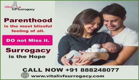 Discoveries And Insights For Blissful Parenthood