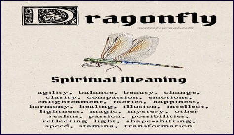 Unveil Their Enchanting Symbolism And Personal Meaning